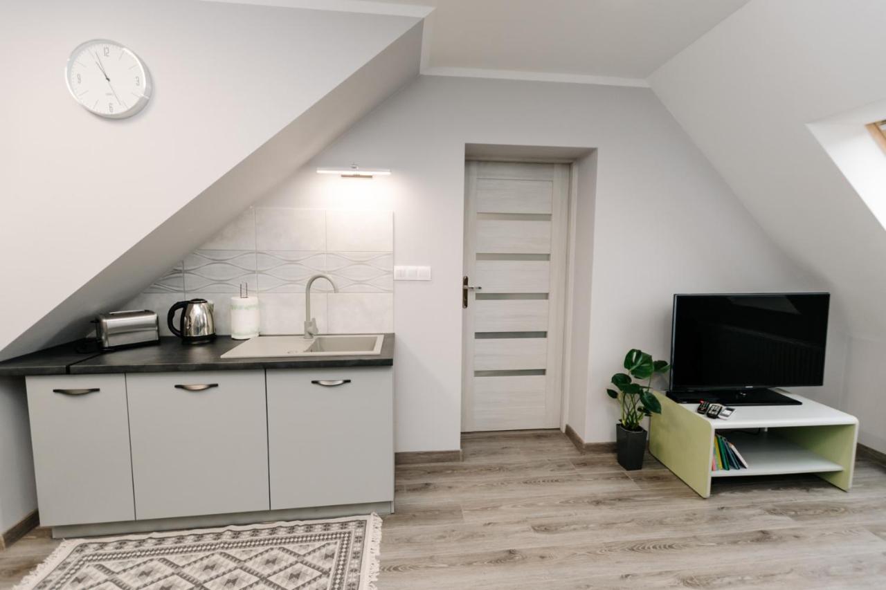 Apartament Karo 2 Karkonosze 耶莱尼亚古拉 外观 照片